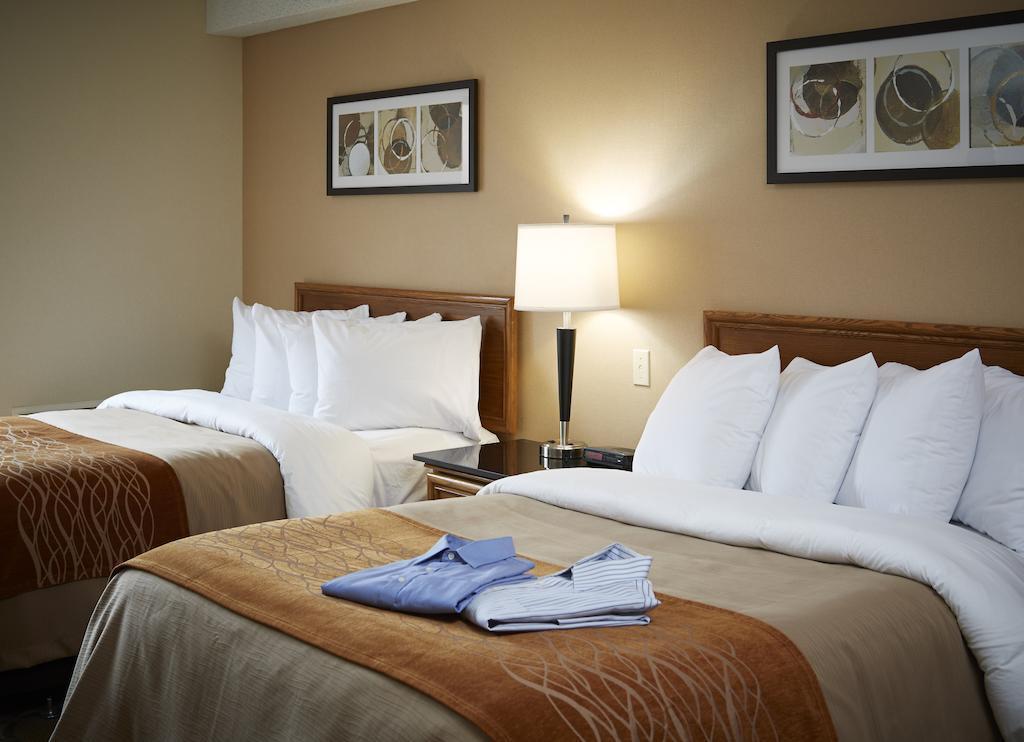 Comfort Inn Hamilton Extérieur photo