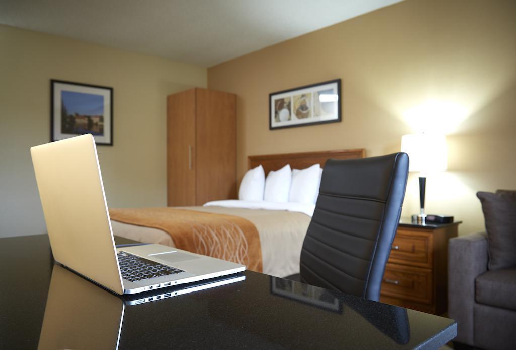 Comfort Inn Hamilton Extérieur photo