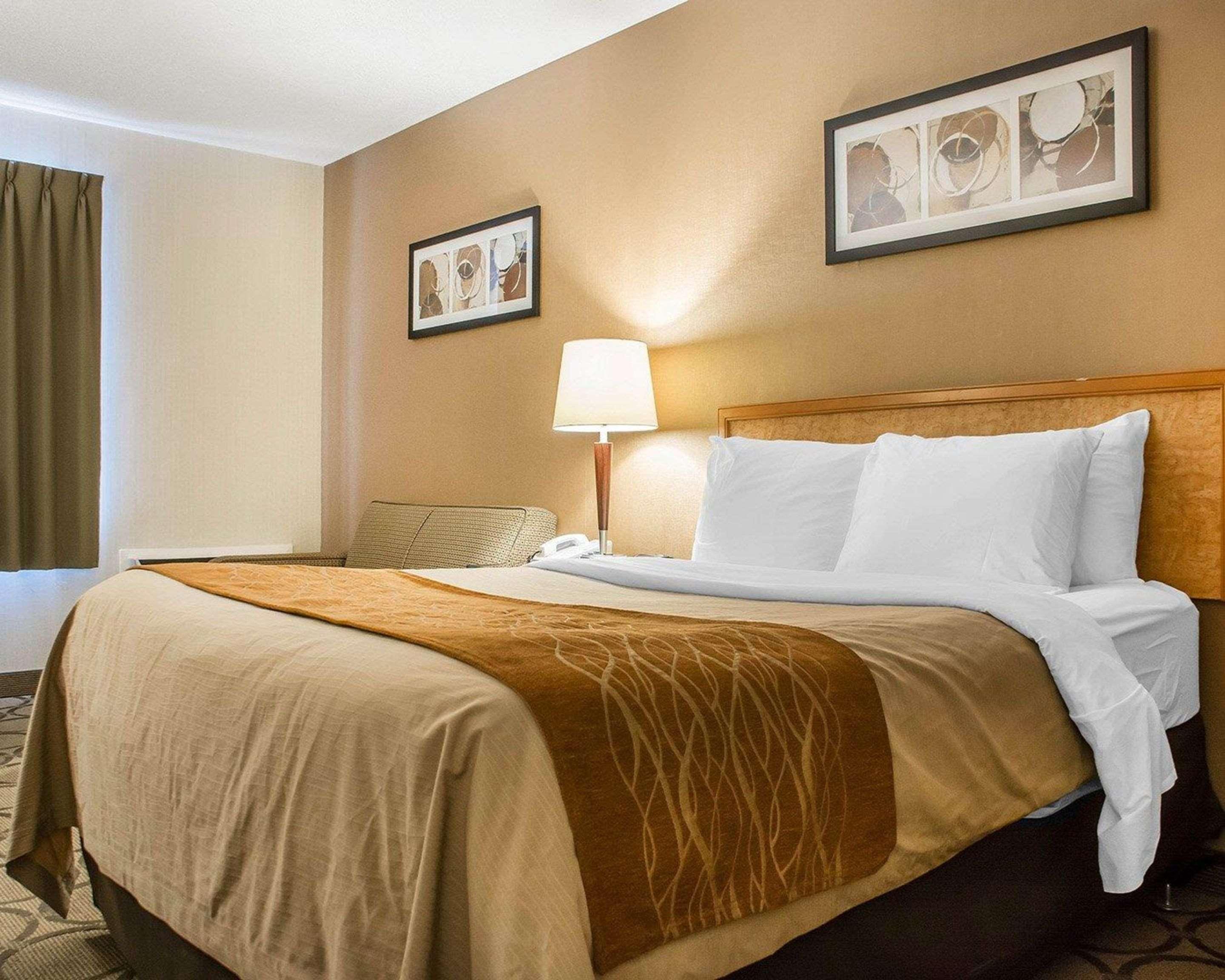 Comfort Inn Hamilton Extérieur photo